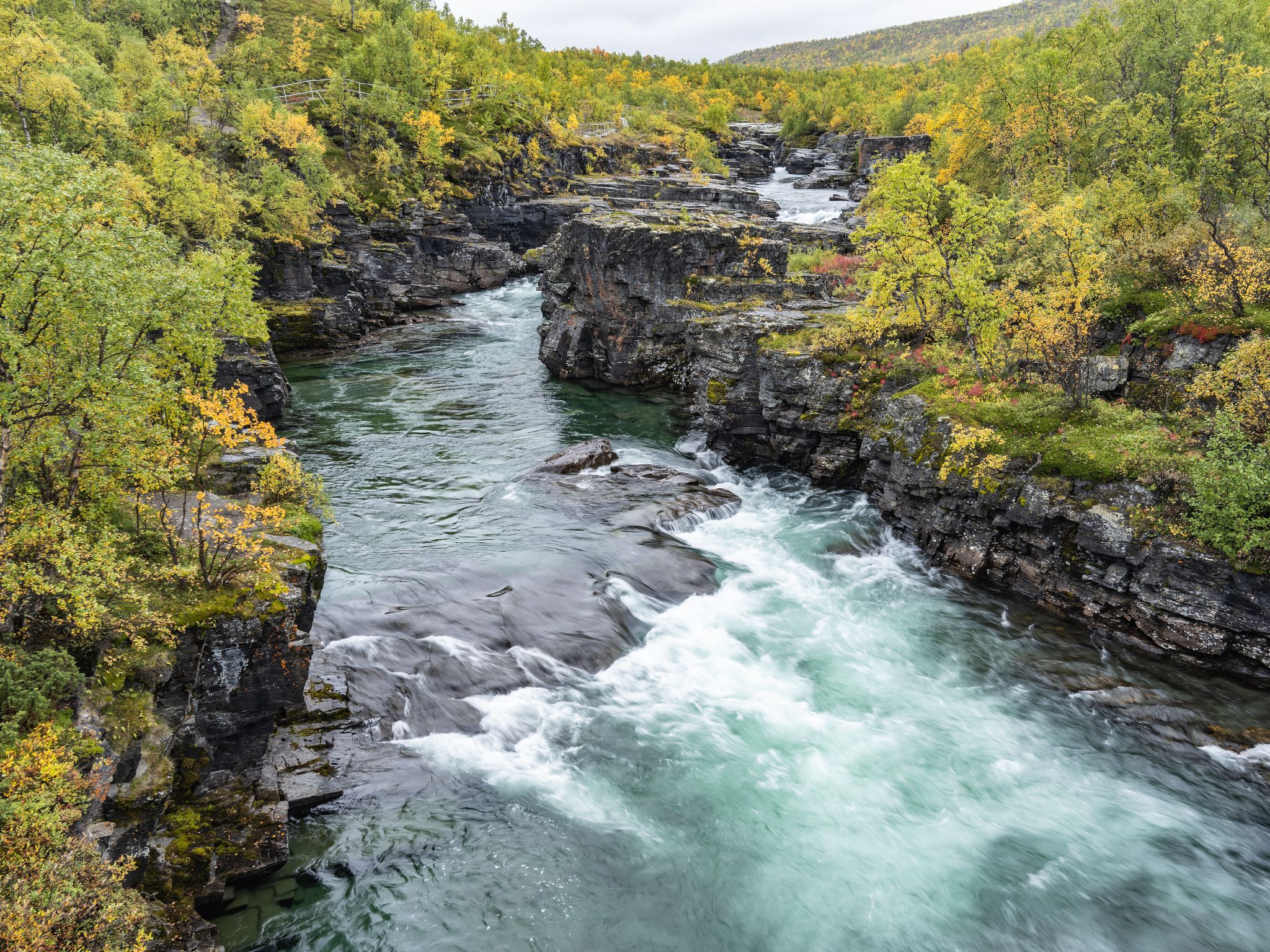 Abisko